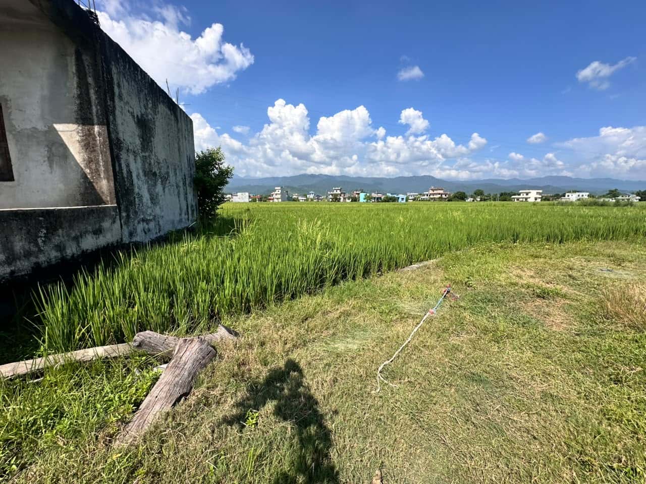Land at SAINAMAINA MUNICIPALITY, RUPANDEHI (PA-00000000000000006845) - Image 2