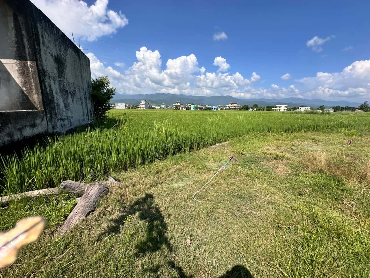 Land at SAINAMAINA MUNICIPALITY, RUPANDEHI (PA-00000000000000006845) - Image 4