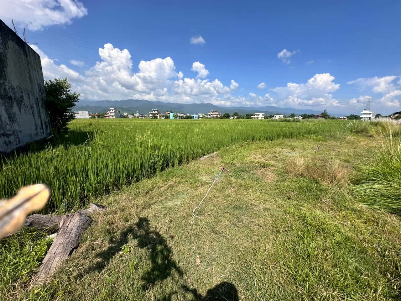 Land at SAINAMAINA MUNICIPALITY, RUPANDEHI (PA-00000000000000006845) - Image 7