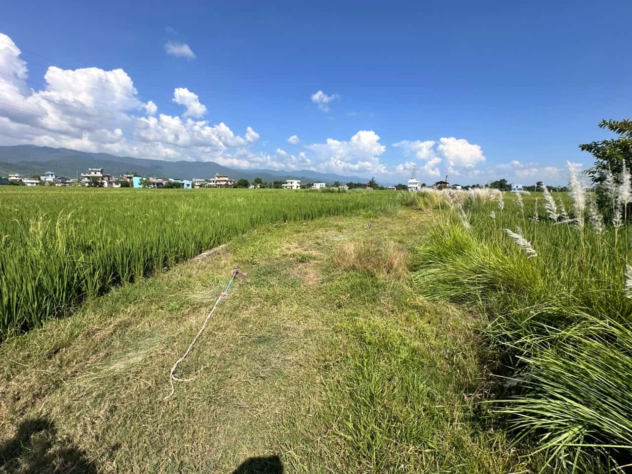 Land at SAINAMAINA MUNICIPALITY, RUPANDEHI (PA-00000000000000006845) - Image 1