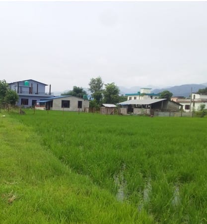 Land at SUNWAL MUNICIPALITY, NAWALPARASI WEST (PA-00000000000000006823) - Image 3