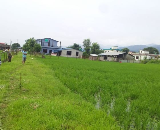 Land at SUNWAL MUNICIPALITY, NAWALPARASI WEST (PA-00000000000000006823)