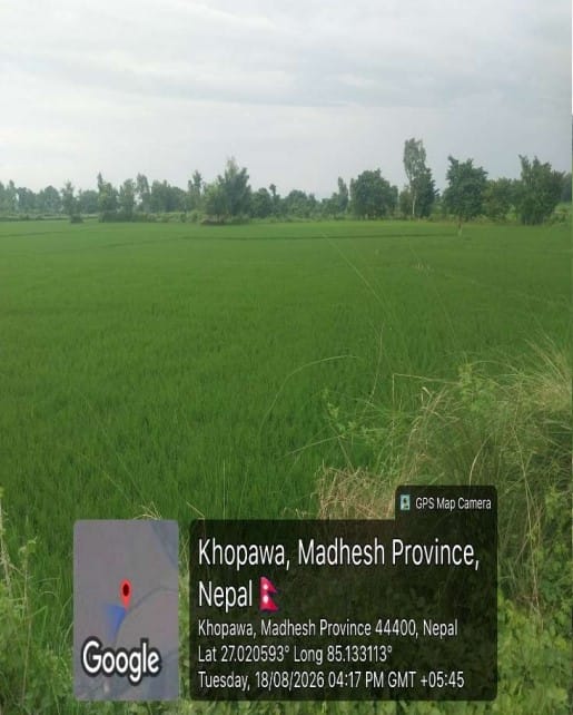 Land at BARAGADHI RURAL MUNICIPALITY, BARA (PA-00000000000000006700) - Image 3