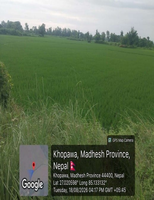 Land at BARAGADHI RURAL MUNICIPALITY, BARA (PA-00000000000000006700)