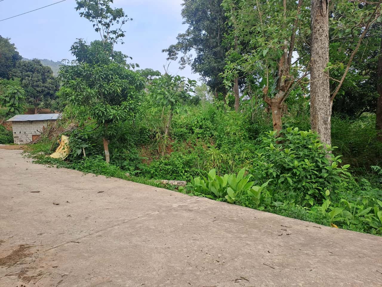 Land at HETAUDA SUB-METROPOLITIAN CITY, MAKAWANPUR (PA-00000000000000004948) - Image 3