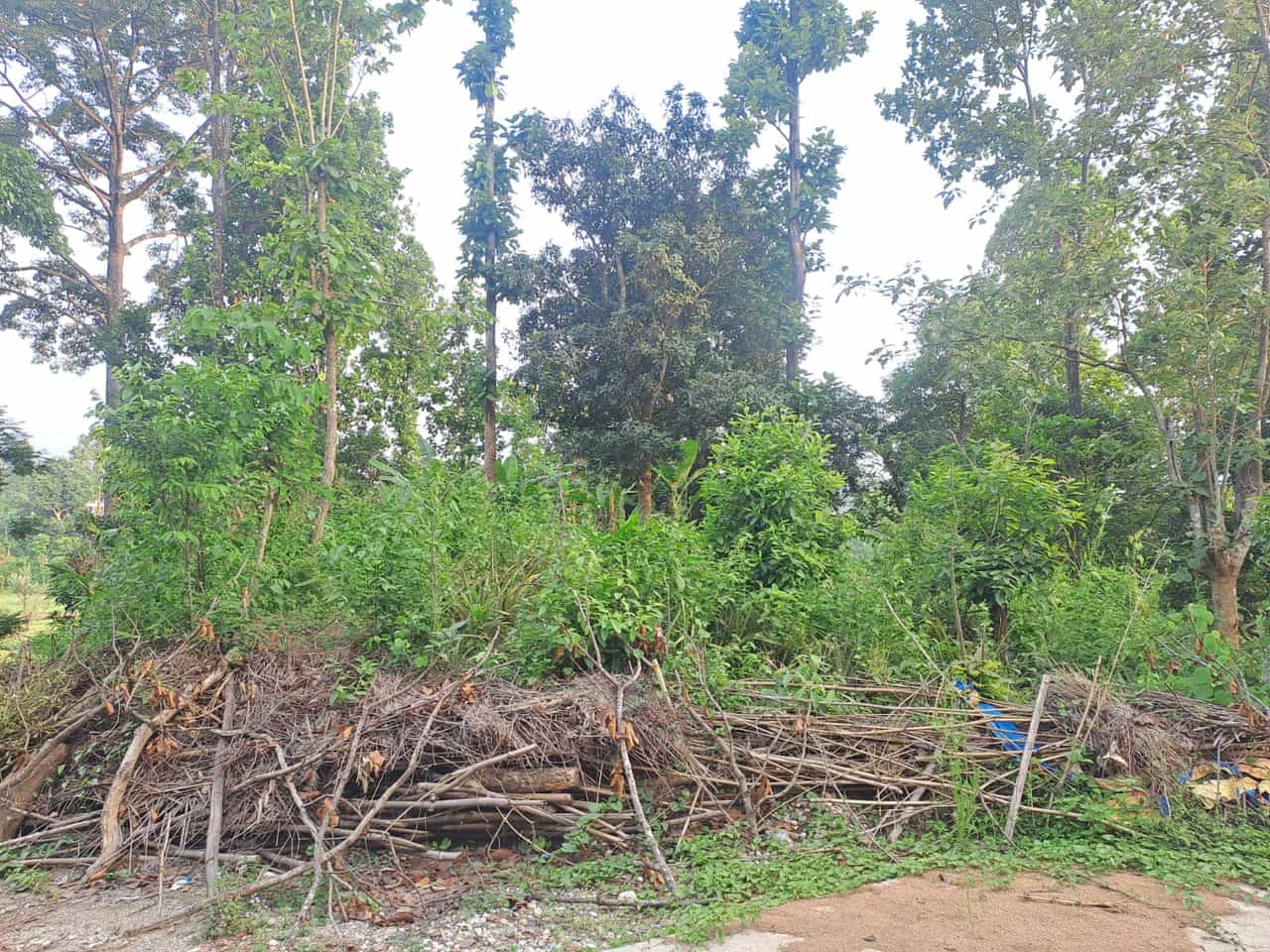 Land at HETAUDA SUB-METROPOLITIAN CITY, MAKAWANPUR (PA-00000000000000004948) - Image 6