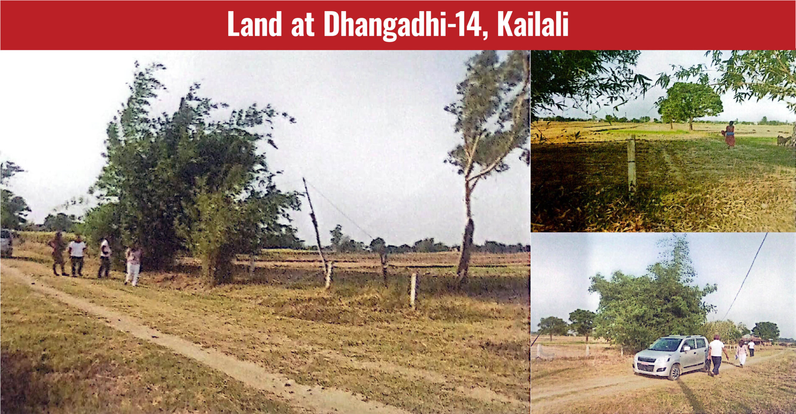 Land at Dhangadhi-14, Kailali