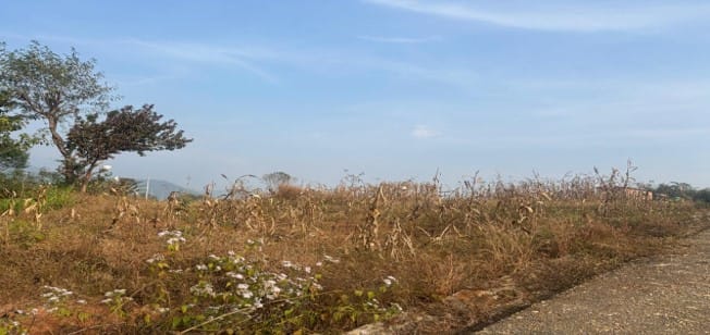 Land at HETAUDA SUB-METROPOLITIAN CITY, MAKAWANPUR (PA-00000000000000001914) - Image 2