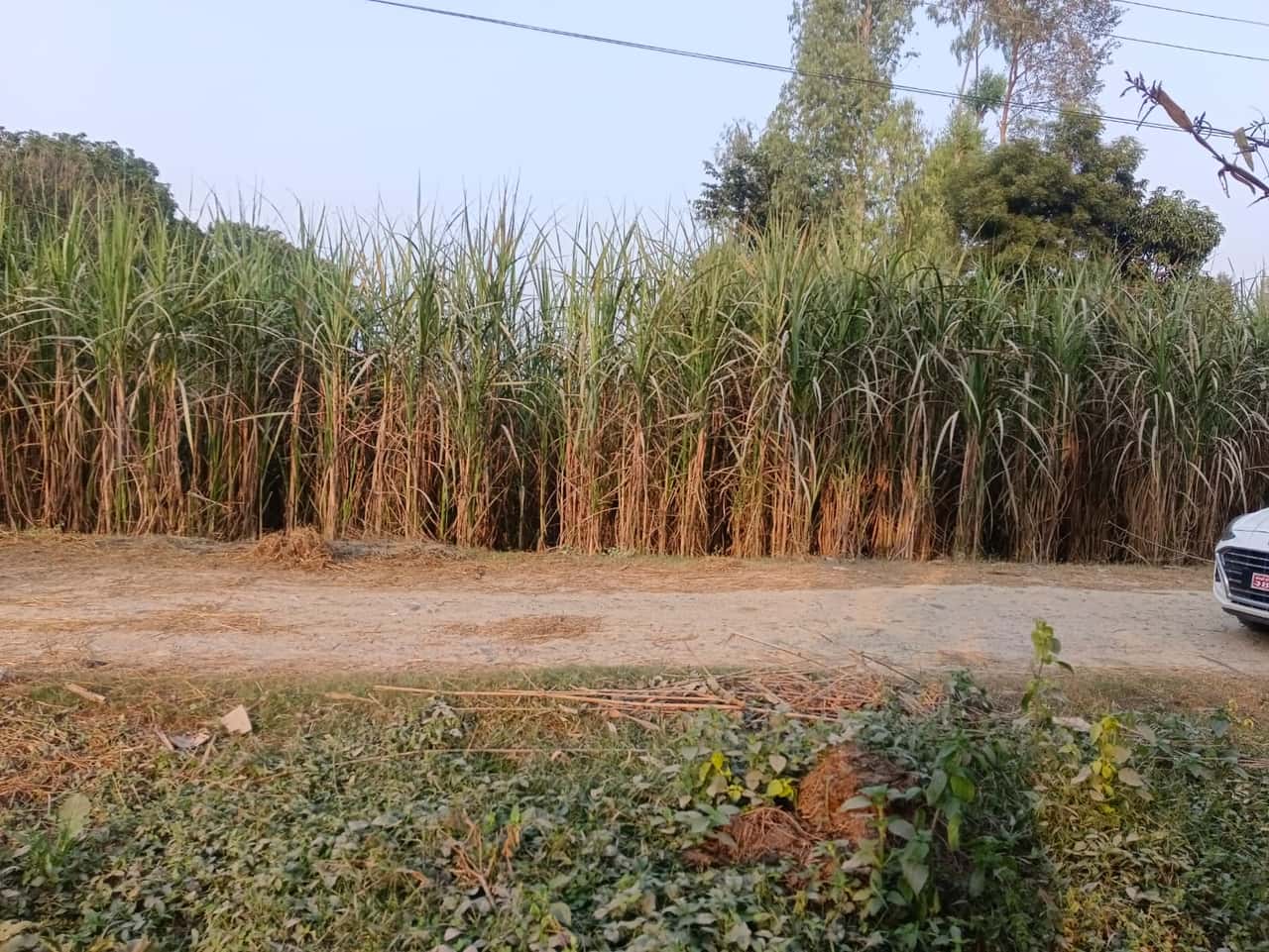Land at RAMGOPALPUR MUNICIPALITY, MAHOTARI (PA-00000000000000003785) - Image 3