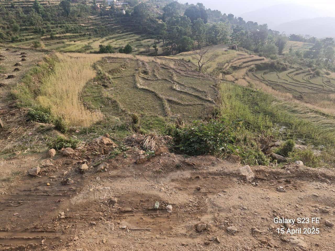 Land at NARAYAN MUNICIPALITY, DAILEKH