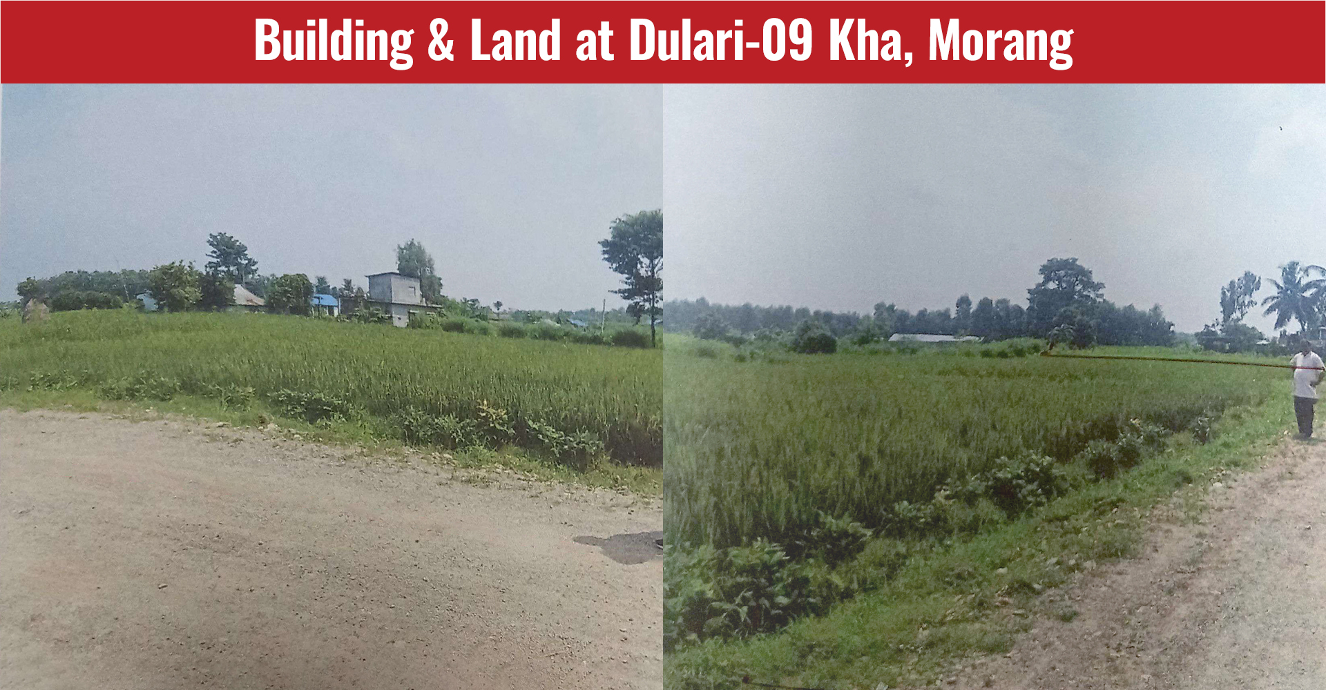 Building & Land at Dulari-09 Kha, Morang