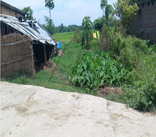 Land at MAHARAJGUNJ MUNICIPALITY, KAPILBASTU (PA-00000000000000006676)