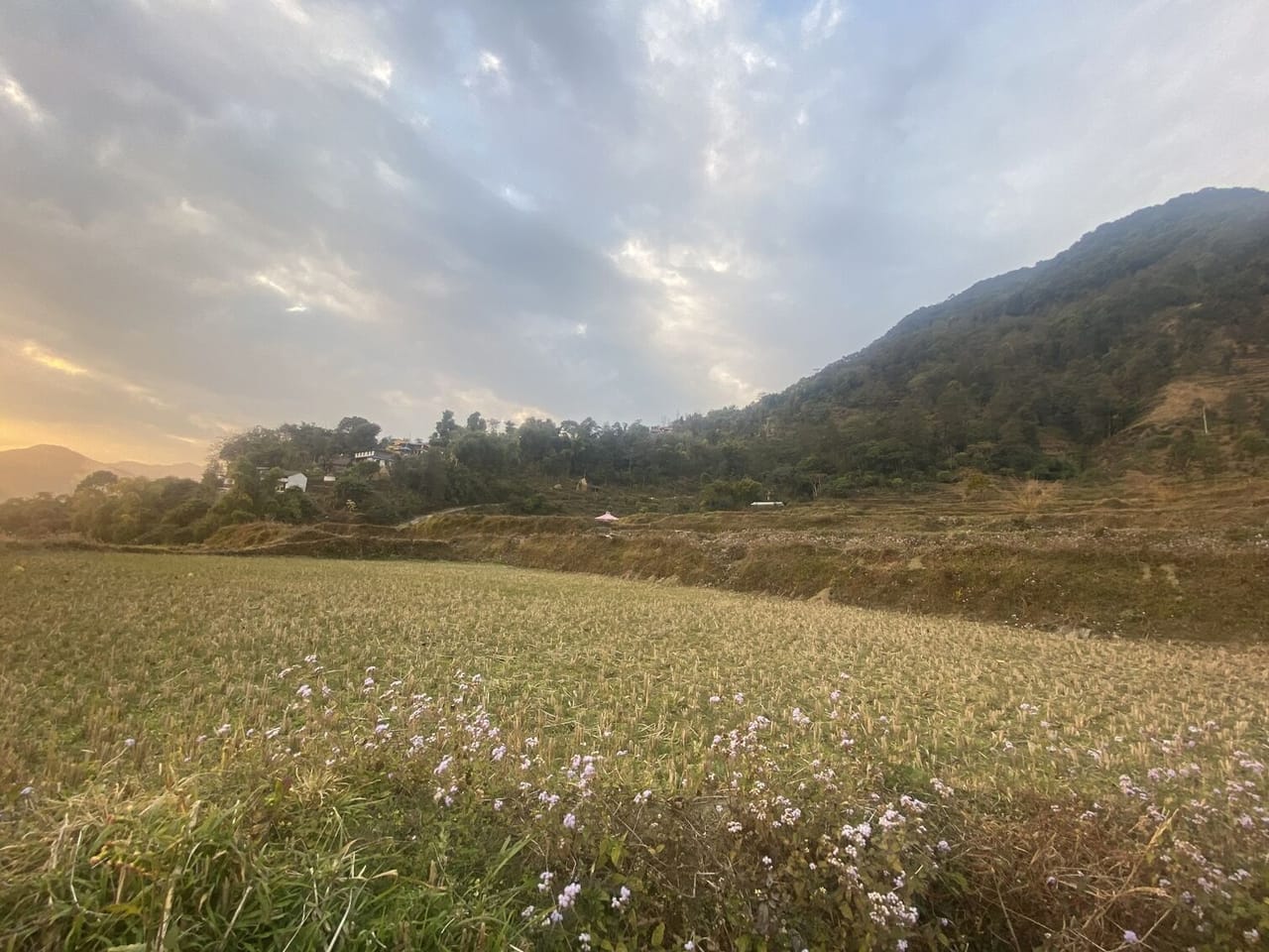 Land at OM SATIYA RURAL MUNICIPALITY, RUPANDEHI - Image 2