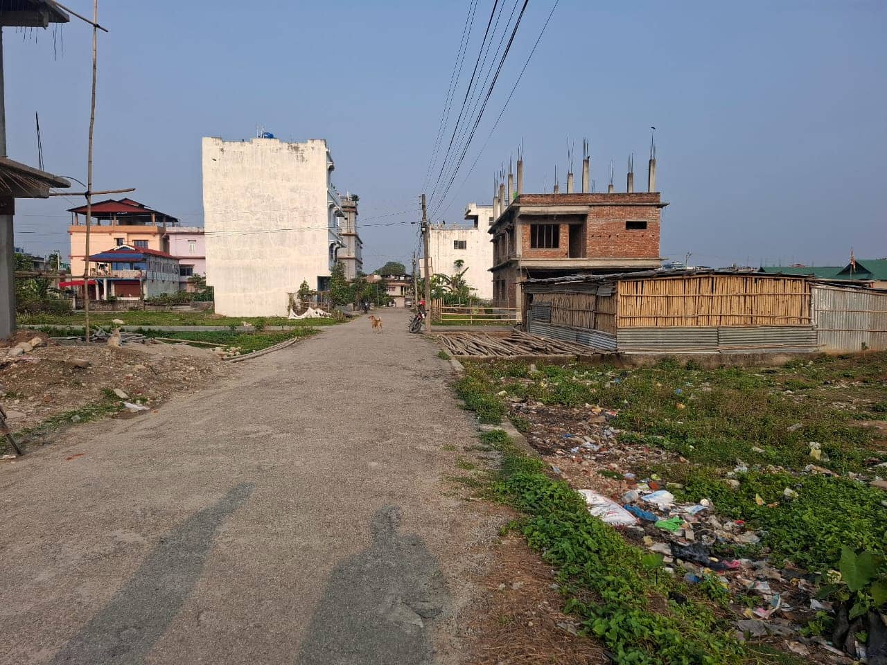 Land at BIRTAMOD MUNICIPALITY, JHAPA (PA-00000000000000003932) - Image 2