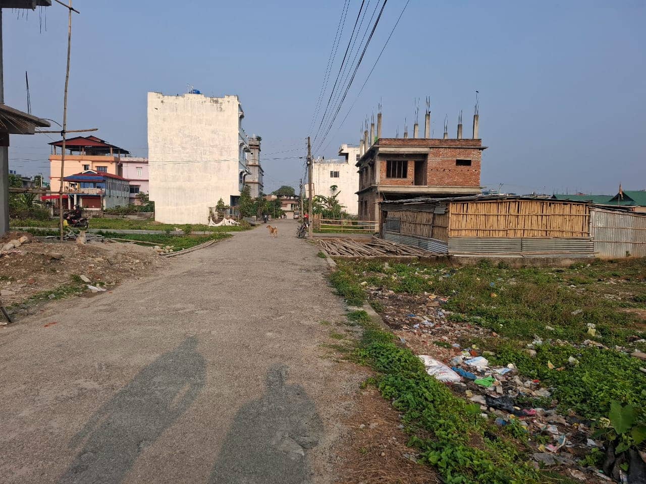 Land at BIRTAMOD MUNICIPALITY, JHAPA (PA-00000000000000003932) - Image 4