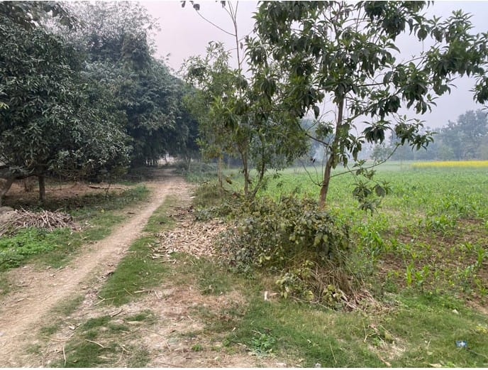 Land at DURGA BHAGWATI RURAL MUNICIPALITY, RAUTAHAT (PA-00000000000000002587)