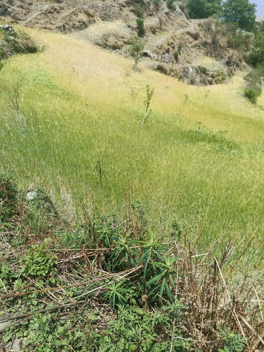 Land at MUGU (PA-00000000000000000424) - Image 7