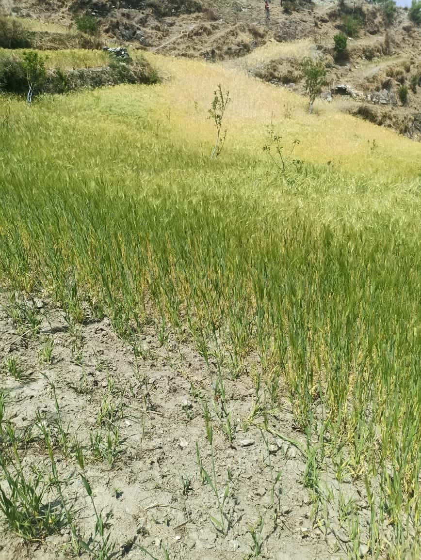 Land at MUGU (PA-00000000000000000424) - Image 5