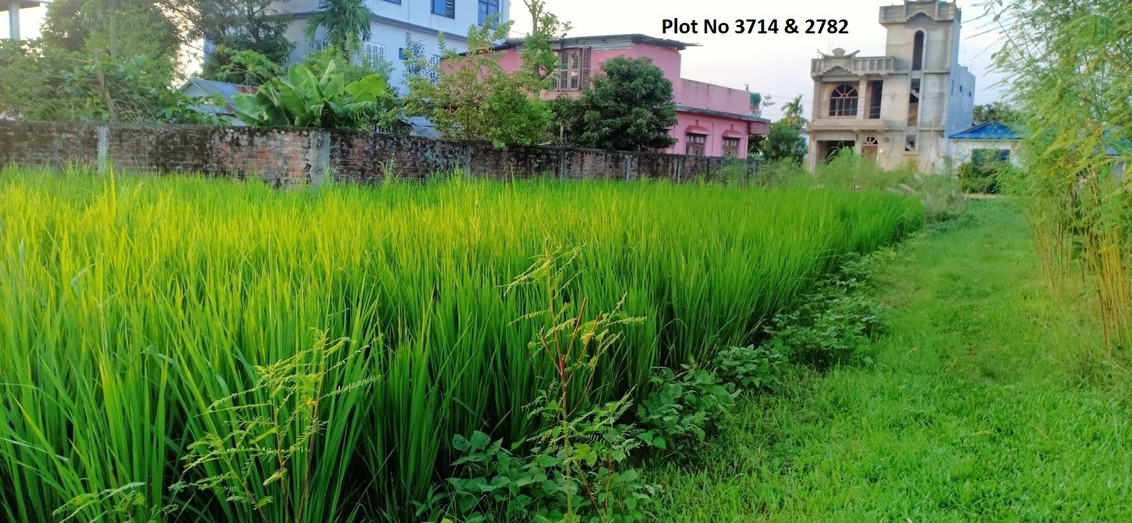 Land at LAMKI CHUHA MUNICIPALITY, KAILALI