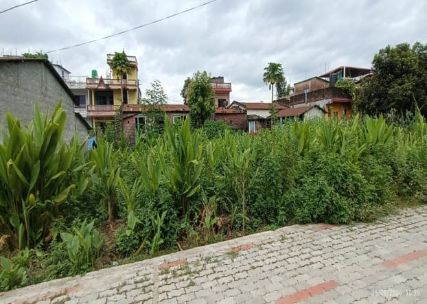 Land at KAWASOTI MUNICIPALITY, NAWALPARASI EAST (PA-00000000000000006788) - Image 2