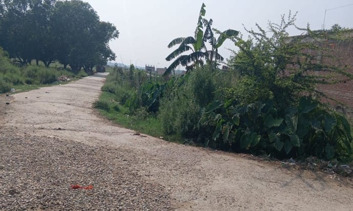 Land at MAHARAJGUNJ MUNICIPALITY, KAPILBASTU (PA-00000000000000006675)