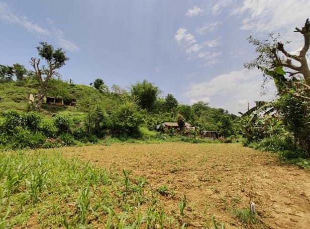 Land at BYAS MUNICIPALITY, TANAHUN (PA-00000000000000004213) - Image 5