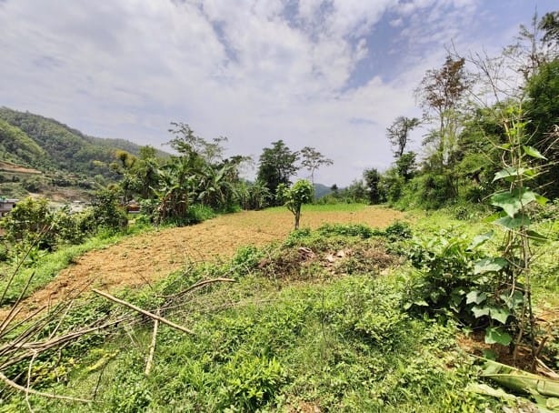Land at BYAS MUNICIPALITY, TANAHUN (PA-00000000000000004213) - Image 3