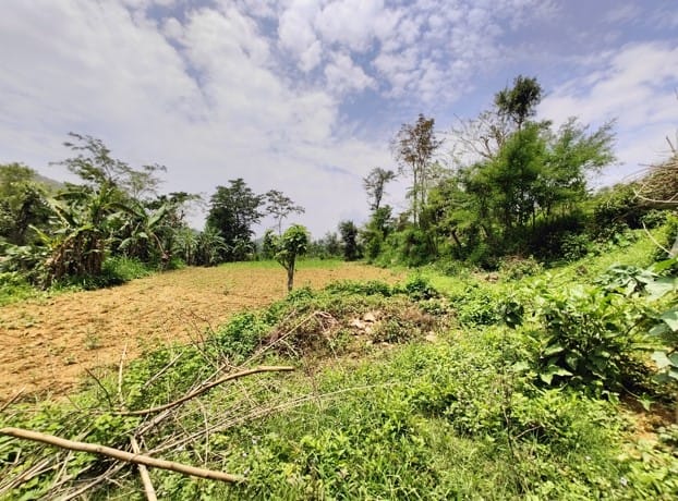 Land at BYAS MUNICIPALITY, TANAHUN (PA-00000000000000004213) - Image 4