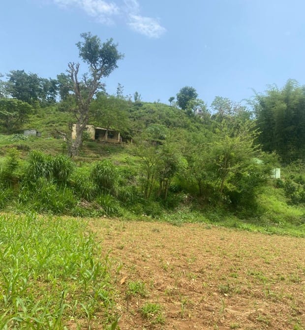 Land at BYAS MUNICIPALITY, TANAHUN (PA-00000000000000004213)