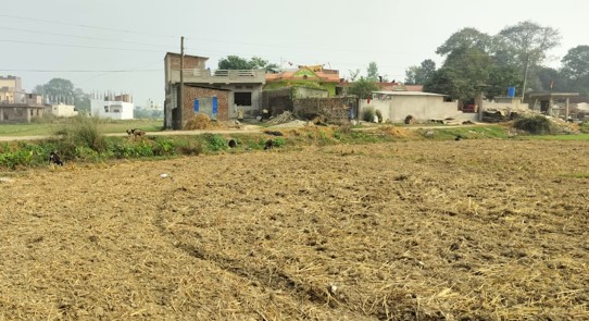 Land at RAMGRAM MUNICIPALITY, NAWALPARASI WEST