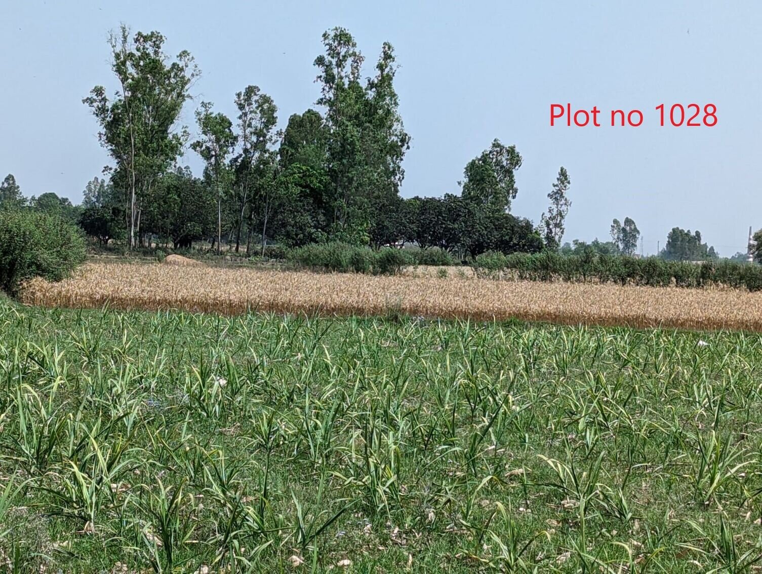 Land at GADHIMAI MUNICIPALITY, RAUTAHAT