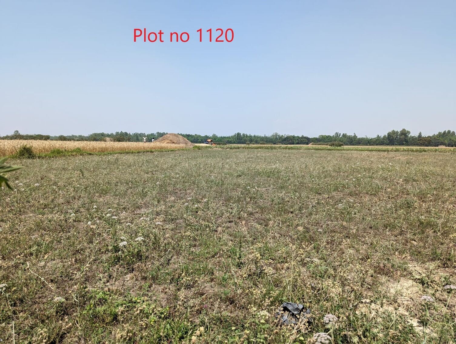 Land at GADHIMAI MUNICIPALITY, RAUTAHAT