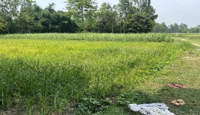 Land at AURAHI MUNICIPALITY, MAHOTARI (PA-00000000000000006741) - Image 2