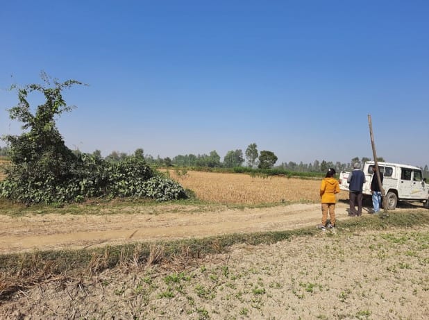 Land at BHANGAHA MUNICIPALITY, MAHOTARI (PA-00000000000000006751) - Image 2
