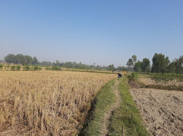 Land at BHANGAHA MUNICIPALITY, MAHOTARI (PA-00000000000000006751) - Image 3