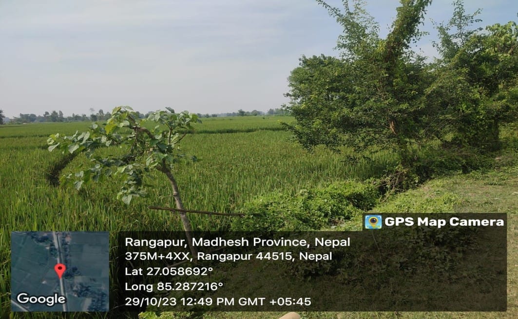 Land at GUJARA MUNICIPALITY, RAUTAHAT (PA-00000000000000000180) - Image 2